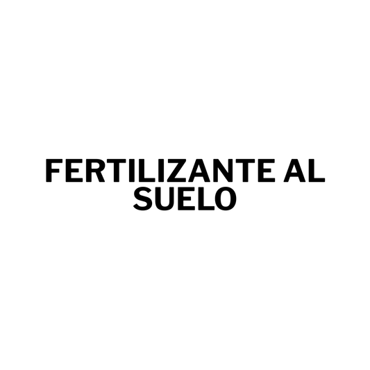 Productos