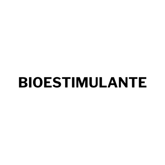 Productos