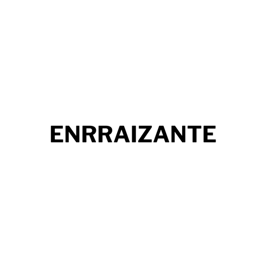 Productos